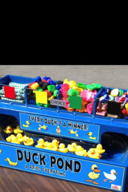 Carnival Duck Pond Game