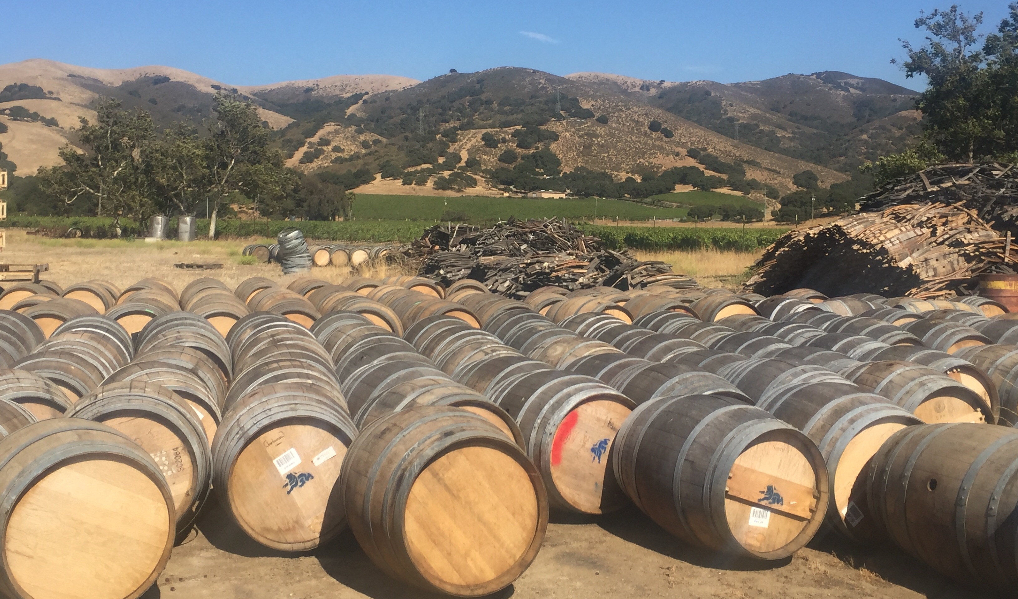 Wine Barrels 1 